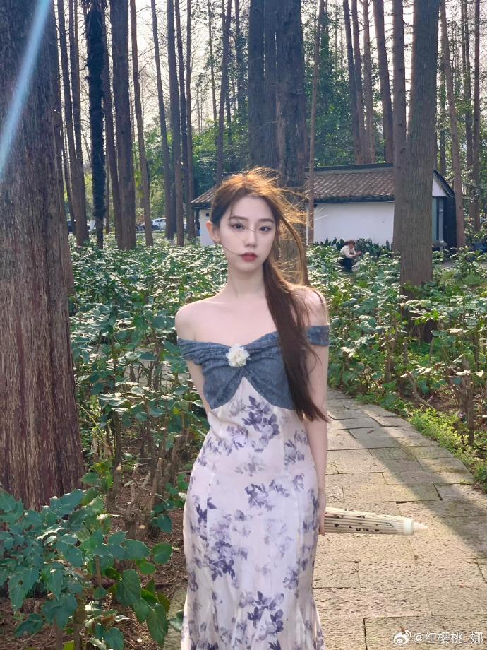 白蛇缘起 封面
